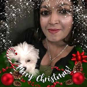 Meet your Posher, Arolin